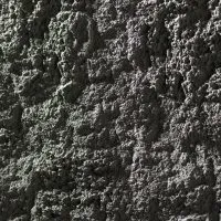 TEXTURES-PANESPOL